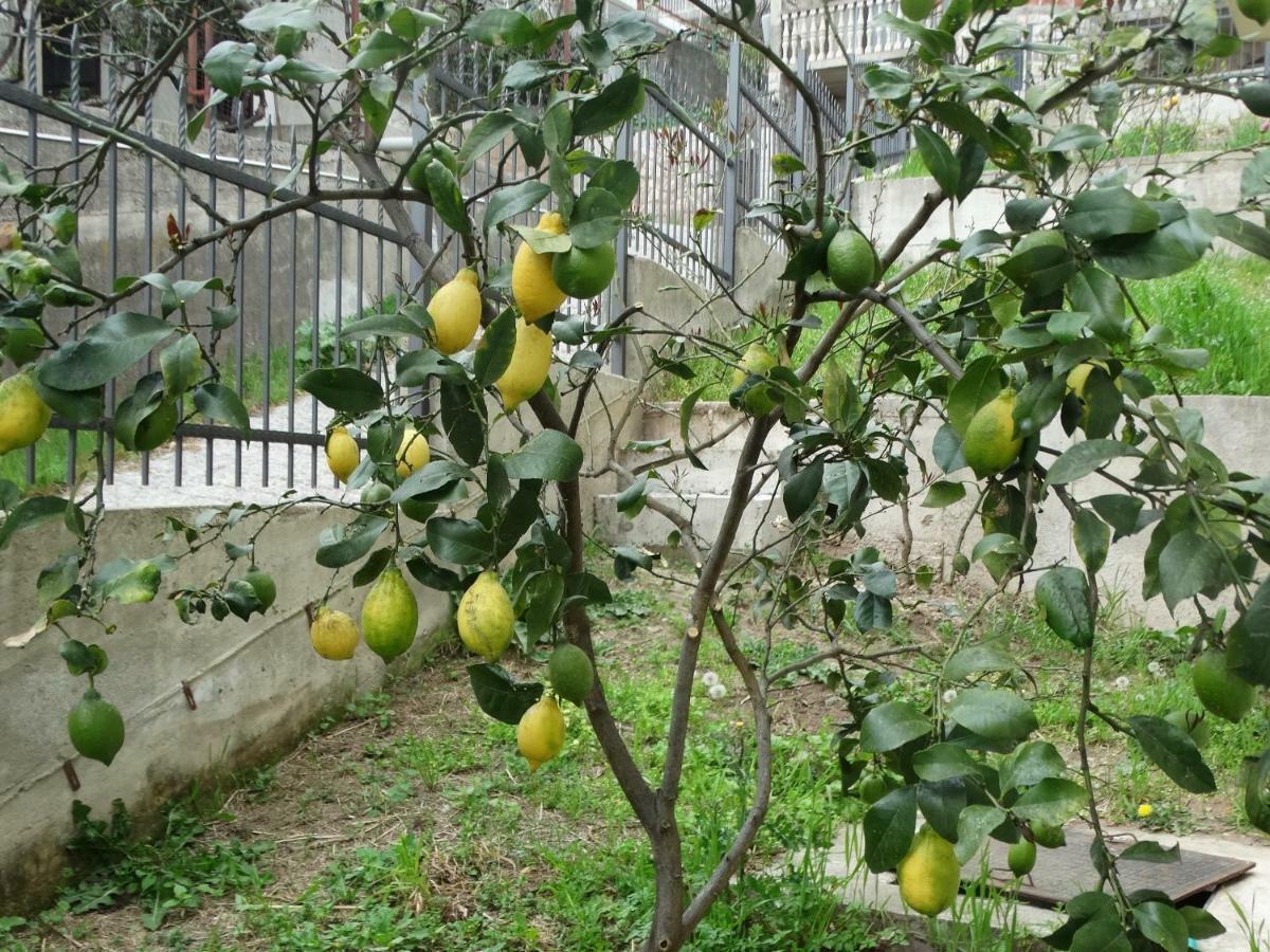 Green Line Guesthouse بار المظهر الخارجي الصورة