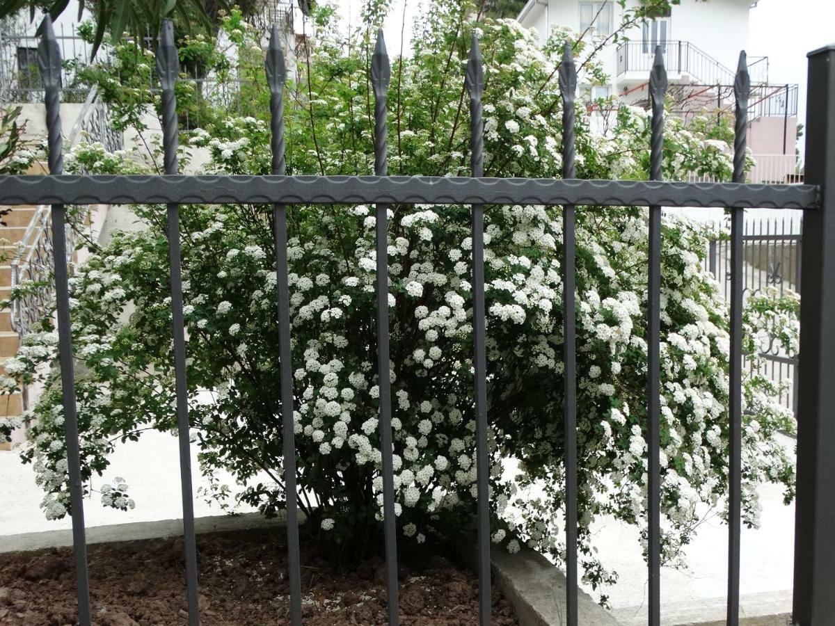 Green Line Guesthouse بار المظهر الخارجي الصورة